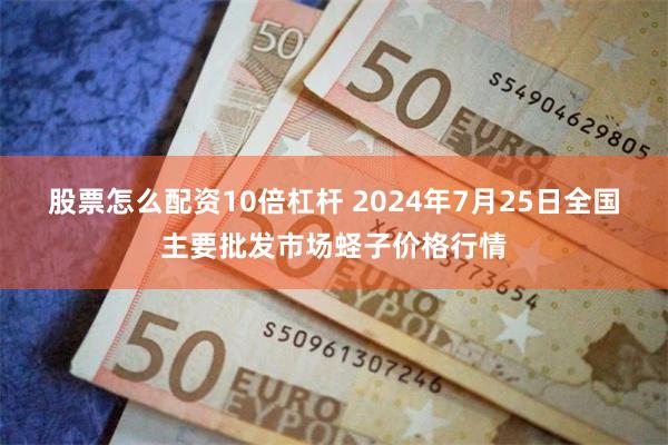 股票怎么配资10倍杠杆 2024年7月25日全国主要批发市场蛏子价格行情
