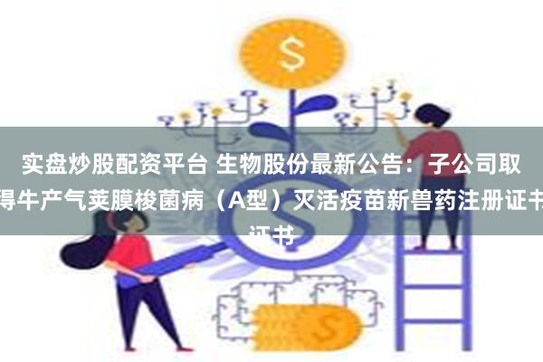 实盘炒股配资平台 生物股份最新公告：子公司取得牛产气荚膜梭菌病（A型）灭活疫苗新兽药注册证书