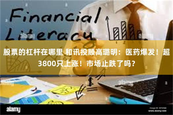 股票的杠杆在哪里 和讯投顾高璐明：医药爆发！超3800只上涨！市场止跌了吗？
