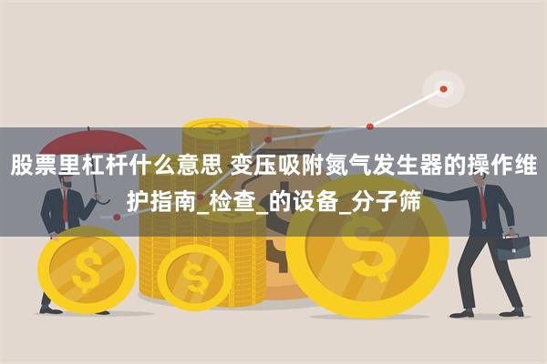 股票里杠杆什么意思 变压吸附氮气发生器的操作维护指南_检查_的设备_分子筛