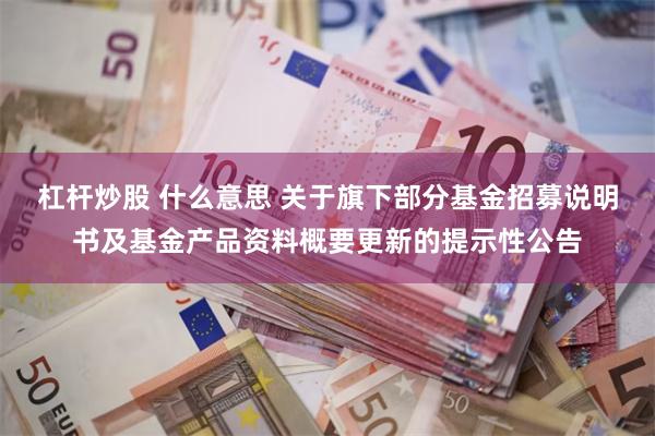 杠杆炒股 什么意思 关于旗下部分基金招募说明书及基金产品资料概要更新的提示性公告