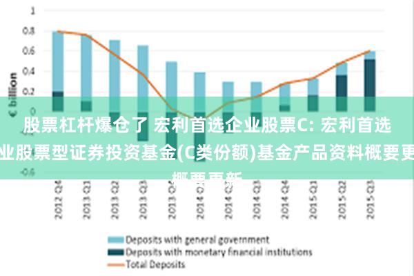 股票杠杆爆仓了 宏利首选企业股票C: 宏利首选企业股票型证券投资基金(C类份额)基金产品资料概要更新