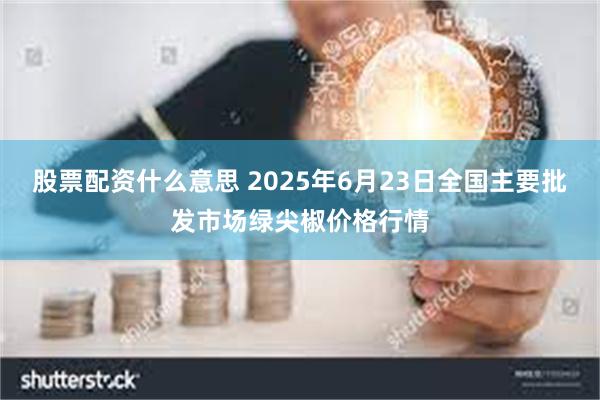股票配资什么意思 2025年6月23日全国主要批发市场绿尖椒价格行情