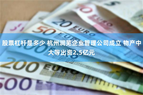 股票杠杆是多少 杭州润芜企业管理公司成立 物产中大等出资2.5亿元