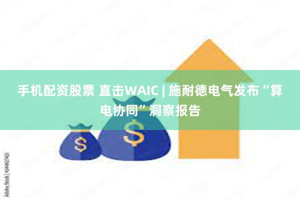 手机配资股票 直击WAIC | 施耐德电气发布“算电协同”洞察报告