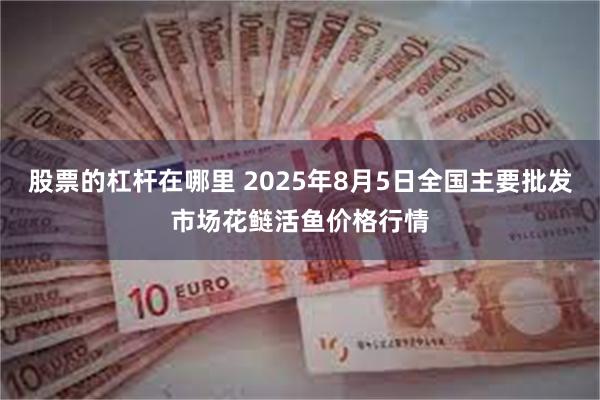 股票的杠杆在哪里 2025年8月5日全国主要批发市场花鲢活鱼价格行情