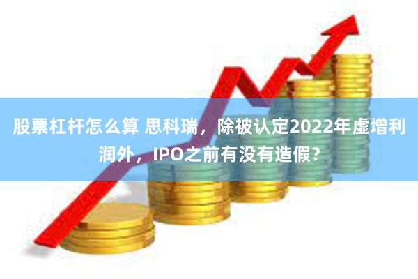 股票杠杆怎么算 思科瑞，除被认定2022年虚增利润外，IPO之前有没有造假？