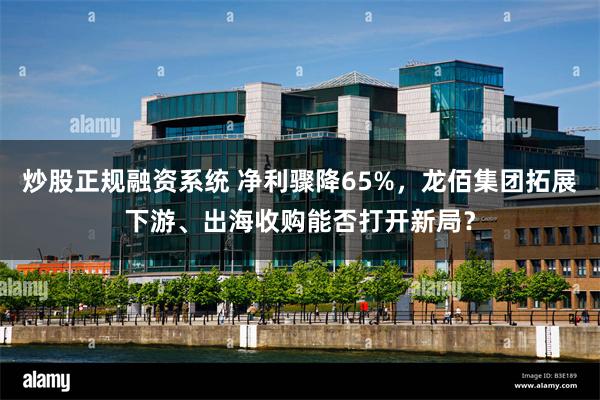 炒股正规融资系统 净利骤降65%,龙佰集团拓展下游、出海收购能否打开新局?