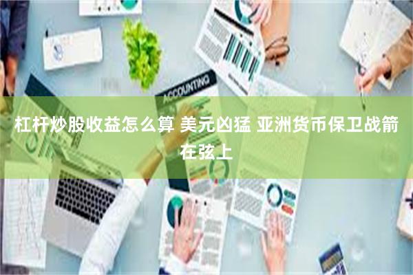 杠杆炒股收益怎么算 美元凶猛 亚洲货币保卫战箭在弦上