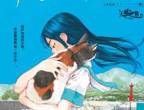 命运之轮精品漫画